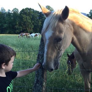 Meet your Posher, Terry